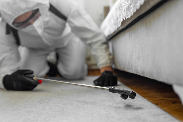 Professional Pest Control technician working in Iron County County, MO